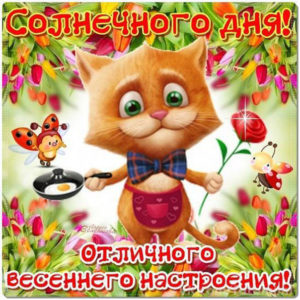 Прикольные открытки хорошего дня