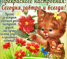 Открытки желаю удачного дня