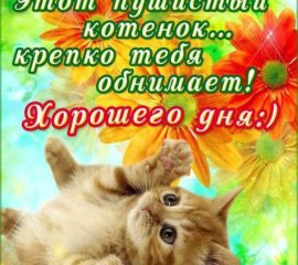 Подборка открытки хорошего дня