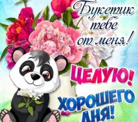 Живые gif картинки