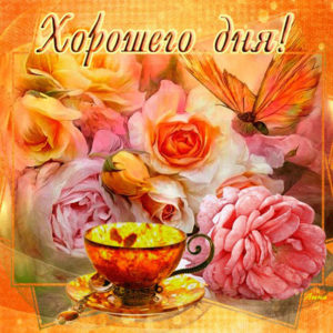 Оранжевая открытка с чашкой