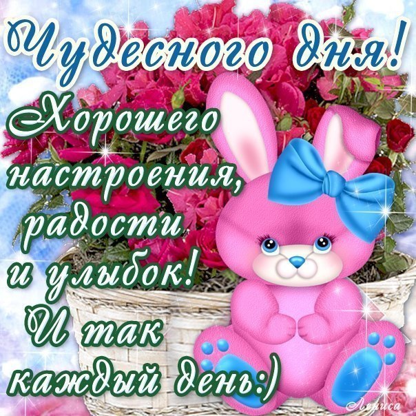 Добрый день розы