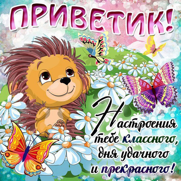 Привет открытки с надписью