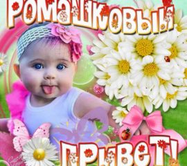 Открытка Привет с пожеланием