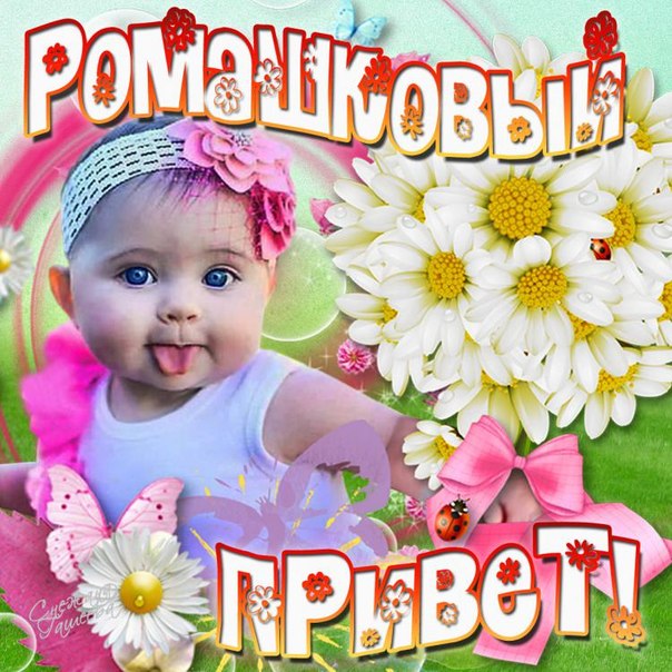 Открытка Привет с пожеланием