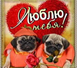 Я тебя Люблю открытки бесплатно