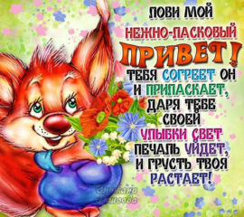 Открытки Привет дорогой