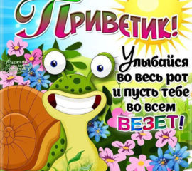 Смешные открытки Привет