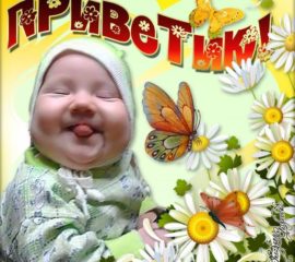 Смешные открытки Привет