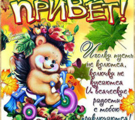Открытки Привет парню