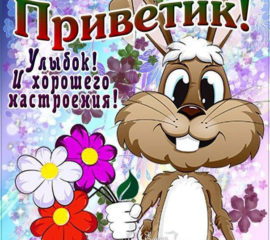 Открытки Привет просто так