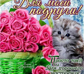 Открытки подруге просто так розы