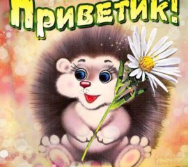  Музыкальные открытки Привет