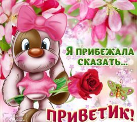 Открытки Приветик