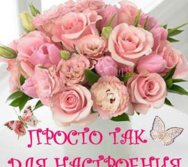 Открытки цветы для тебя