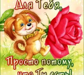 Красивые открытки для девушки