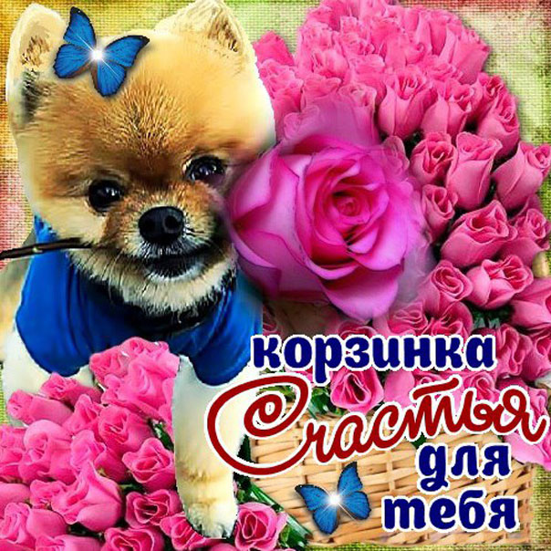 Для тебя подарки анимация