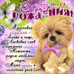 Открытки с Днем Рождения красивые