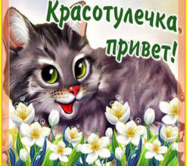 Открытки подруге просто так