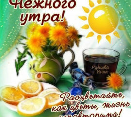 Нежное утро