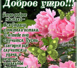 Доброе утро стихи, цветы
