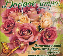 Доброе утро цветы стихи