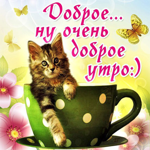 Доброе Утро открытки