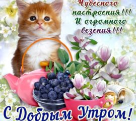 С добрым Утром