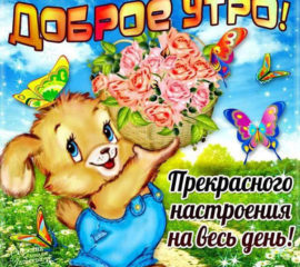 Хорошее утро