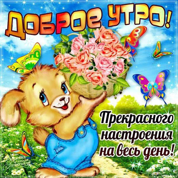 Хорошее утро