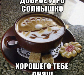 Доброе утро солнышко