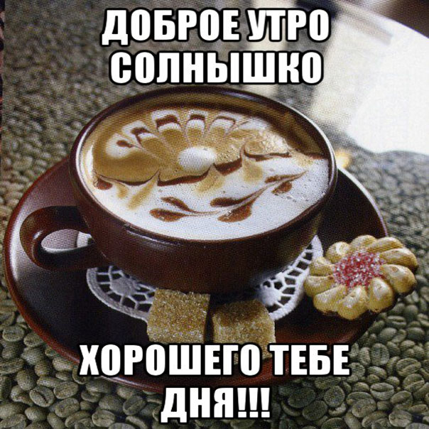 Доброе утро солнышко