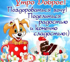 Утренний позитив