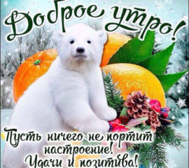 доброе утро с надписями