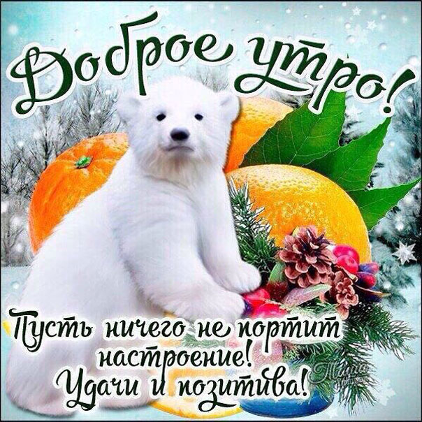 доброе утро с надписями
