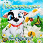 Бесплатно открытки Выходные