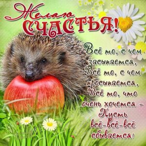 Пожелания юмор открытки настроение