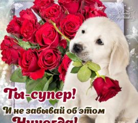 Лучшие позитивные открытки