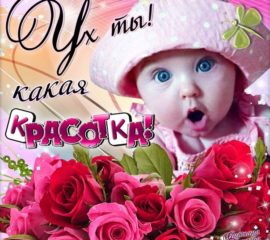Прекрасные красочные открытки анимация