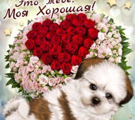 Открытка розы с фразами для настроения