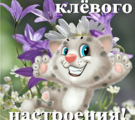 Веселые открытки для тебя
