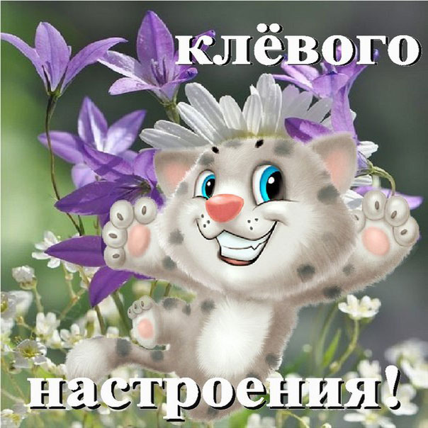 Веселые открытки для тебя