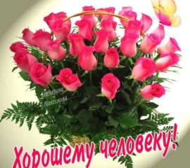 картинки открытки розы
