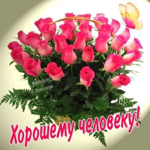 картинки открытки розы