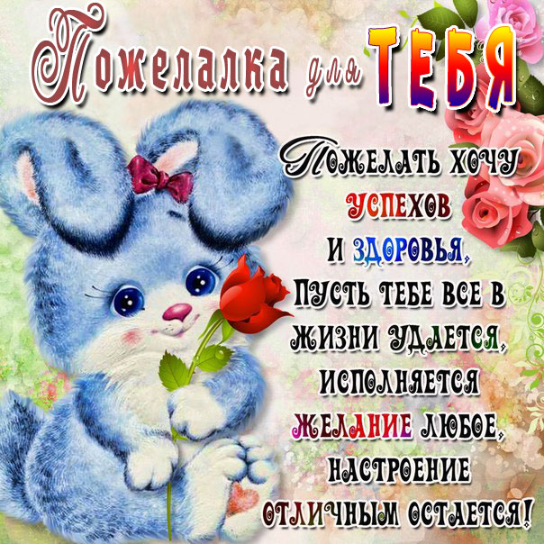 Пожелание